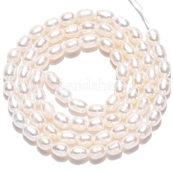 1 hebra de perlas de agua dulce cultivadas naturales&nbsp;PEAR-PA0001-10
