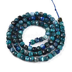 Natürliche Chrysokolla und Lapislazuli Perlen&nbsp;G-T141-65