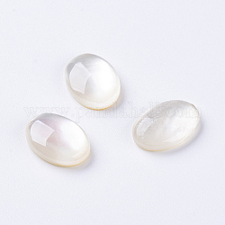 Cabochon shell, ovale, 18x13x4.5mm