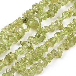 Chapelets de perles en péridot naturel, puce, 4~8x2.5~7mm, Trou: 0.7mm, 15.7~16 pouce (40~40.5 cm)