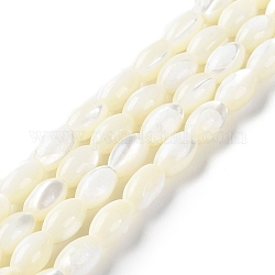 Brins de perles de coquillages naturels de troca, riz, floral blanc, 8.5~9x5.5~6mm, Trou: 1mm, Environ 45~46 pcs/chapelet, 15.35~15.98'' (39~40.6 cm)