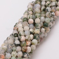 Chapelets de perle en agate d'arbre naturelle, teinte, facette, ronde, 6mm, Trou: 1mm, Environ 56~58 pcs/chapelet, 14 pouce
