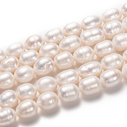 Natural Cultured Freshwater Pearl Beads Strands, Rice, Bisque, 11~14x10~11mm, Hole: 0.8mm, about 28pcs/strand, 13.78 inch(35cm)