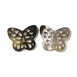 Cabochons de lèvre en coquille noire naturelle, papillon creuse, noir, 17.5x21x2mm