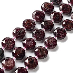 Chapelets de perles de grenat naturel, avec des perles de rocaille, coupe hexagonale facettée, plat rond, 12~12.5x5~6mm, Trou: 1.2~1.4mm, Environ 27~29 pcs/chapelet, 15.55~15.75 pouce (39.5~40 cm)