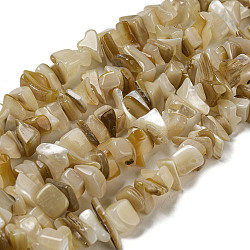 Jaune naturel coquille brins de perles, teinte, pépites, blé, 1.7~7x5.5~16x5~13mm, Trou: 1mm, Environ 102~109 pcs/chapelet, 14.96~15.55'' (38~39.5 cm)