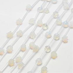 Perles d'opalite, rose, 10x5~9mm, Trou: 1mm