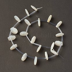 Guscio bianco naturale madreperla perle di conchiglia, top forato, guscio, bianco crema, 10x10x3mm, Foro: 1 mm, circa 20pcs/filo, 10.63'' (27 cm)