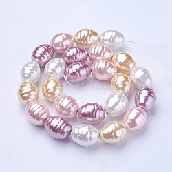 Shell Pearl Beads Strands, Oval with Screw Thread, Colorful, 16.5~17.5x13~13.5mm, Hole: 1mm, about 24pcs/strand, 15.74 inch~15.94 inch(40~40.5cm)