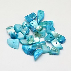 Perline di pepite di conchiglia d'acqua dolce naturali tinte, cielo azzurro, 10~20x5~15mm, Foro: 1 mm, circa 330pcs/500g