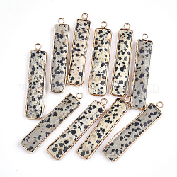 Natural Dalmatian Jasper Pendants, with Brass Findings, Faceted, Rectangle, Golden, 46.5x10x5mm, Hole: 2mm