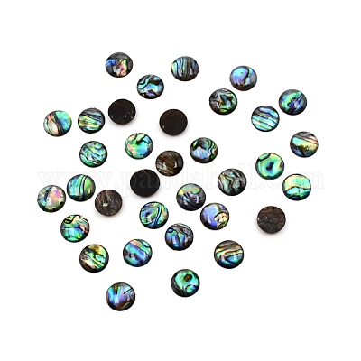 Cabochon conchiglia paua&nbsp;SHEL-WH0001-002B-1