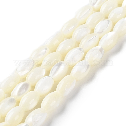 Brins de perles de coquillages naturels de troca BSHE-E030-02B-1