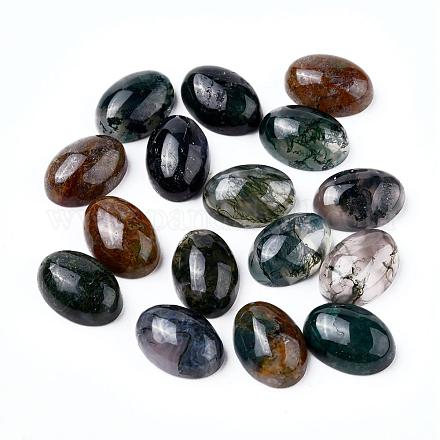 Natural Indian Agate G-F296-09-10x14mm-1