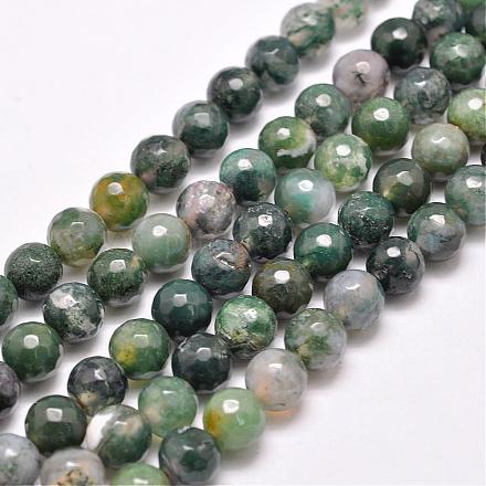 Natural Moss Agate Beads Strands G-F350-6mm-1