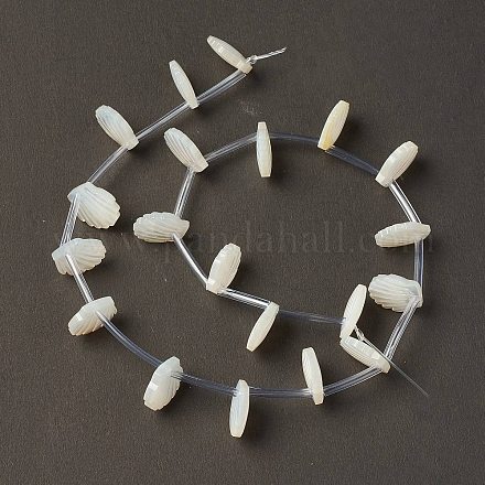Guscio bianco naturale madreperla perle di conchiglia BSHE-B005-07-1
