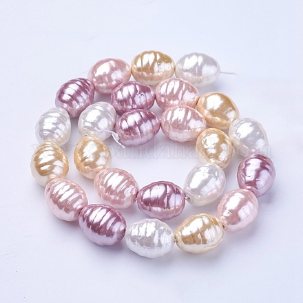 Chapelets de perles de coquille BSHE-P030-03A-1