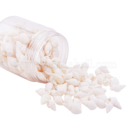 1 Box Spirale Muschel gefärbt Perlen und Anhänger mit Löchern für Schmuck machen 19-21mm Länge BSHE-PH0001-01-1