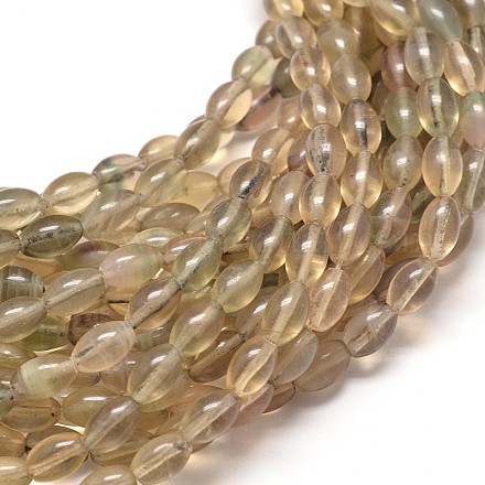 Natural Fluorite Oval Bead Strands G-P073-05-1