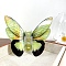 Acrylic Claw Hair Clips, Butterfly, Pale Green, 108x80mm