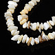 Eau douce naturelle de coquillage perles brins SHEL-S278-070G-3