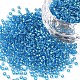 12/0 Grade A Round Glass Seed Beads SEED-Q007-F45-1