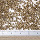 MIYUKI Round Rocailles Beads SEED-JP0008-RR0379-4