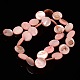 Natural Shell Beads Strands X-PBB251Y-6-2