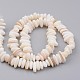 Chapelets de perles en coquillage naturel BSHE-P021-18-2