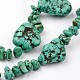 Natural Turquoise Beads Strands G-F321-26-3