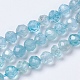 Natürliche Apatit Perlen Stränge G-F568-200-1