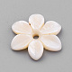 Perles de coquillages naturels d'eau douce SHEL-S269-32-2