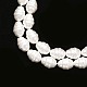Chapelets de perles de coquille PEAR-T005-02-3
