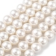 Cuentas perlas de concha de perla BSHE-L026-03-8mm-2