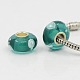 Handmade Lampwork European Beads Fit Charm Bracelets X-LPDL-B001-029-1