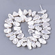 Electroplate Shell Pearl Beads Strands X-SSHEL-S261-01F-2