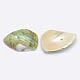Dyed Natural Spiral Shell Chips Beads SHEL-A003-B04-2
