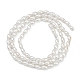 Fili di perle di conchiglie galvanizzate&nbsp;BSHE-Z009-10B-3