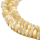 Fili di perline di conchiglia trochus naturale SHEL-K006-25B-3