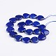 Dyed Heart Natural Lapis Lazuli Bead Strands G-F272-04-2