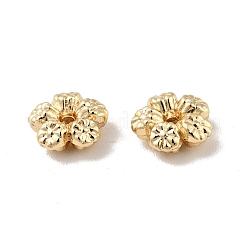 Cremagliera branelli della lega di placcatura&nbsp;PALLOY-D004-04G