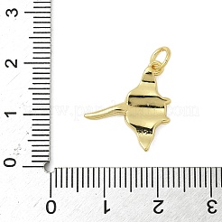 Messing Anhänger & Charms&nbsp;KK-I276-62G