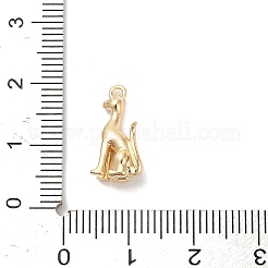 Messing Anhänger & Charms&nbsp;LS-KK-D427-04A-G