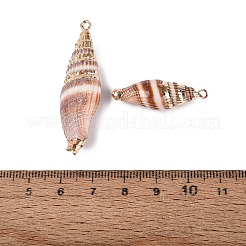 Colgantes de concha espiral natural con adornos de latón dorado electrochapado&nbsp;SSHEL-N042-28