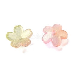 Acrylique coupelles&nbsp;OACR-I024-01E