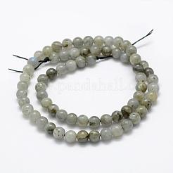 Perline labradorite naturale fili&nbsp;G-P322-29-6mm