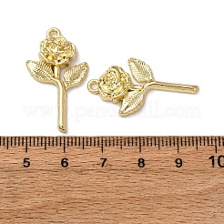 Aluminium Anhänger & Charms&nbsp;LS-FIND-Z095-12G