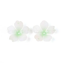 Capuchons de perles acryliques en forme de fleur&nbsp;SACR-T017-51D