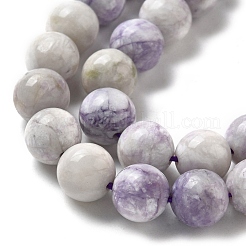 Fili di perline di turchese viola naturale&nbsp;G-L595-C04-02