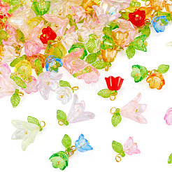 60pcs 3 Arten transparente Acrylanhänger&nbsp;HJEW-TAC0180